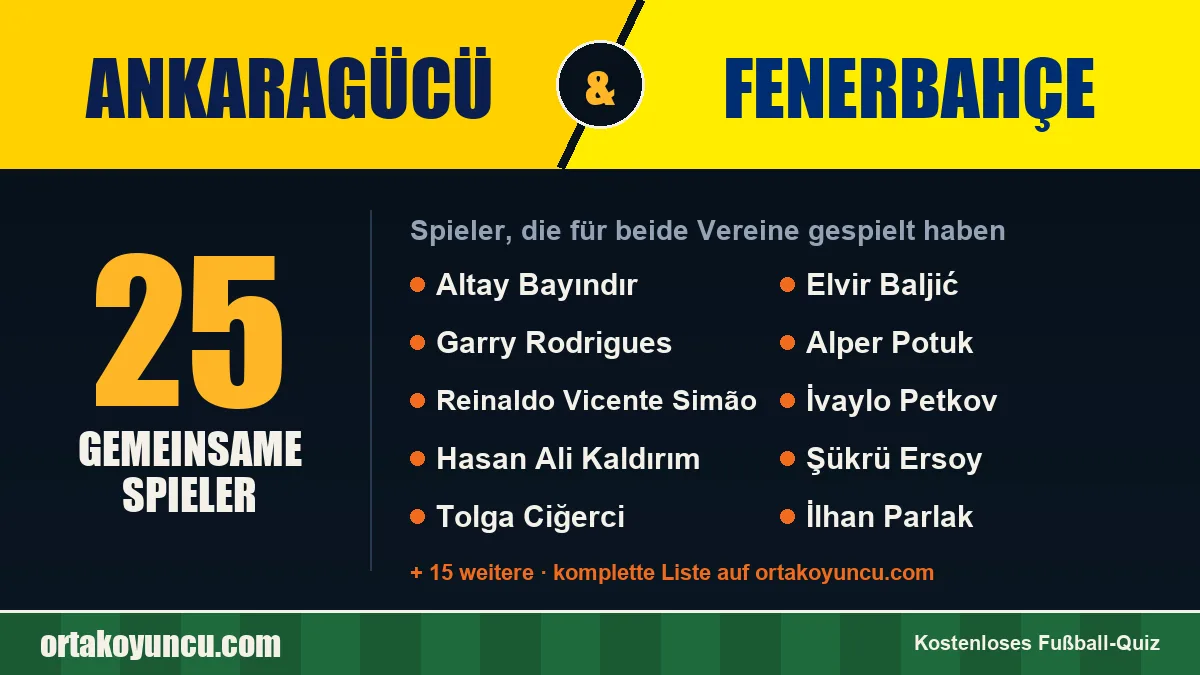 Spieler, die für Ankaragücü und Fenerbahçe gespielt haben: 25 Spieler