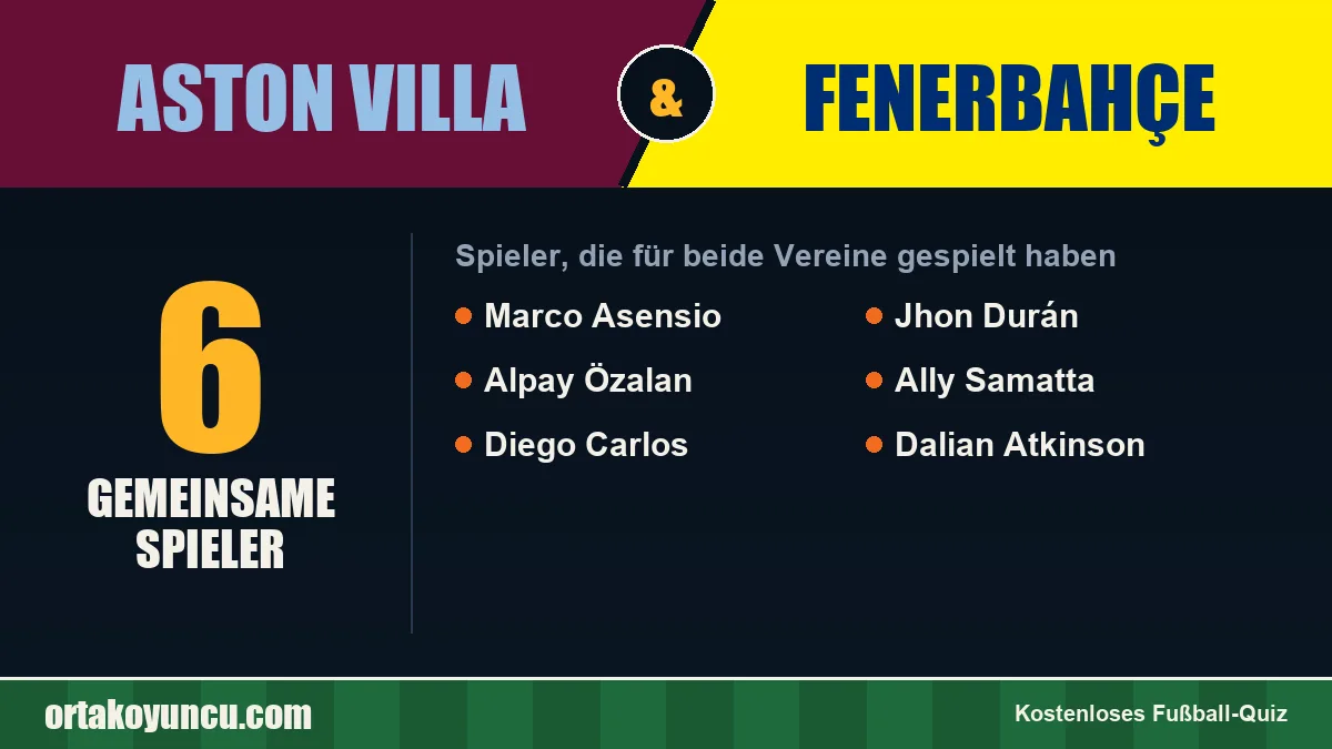 Spieler, die für Aston Villa und Fenerbahçe gespielt haben: 6 Spieler