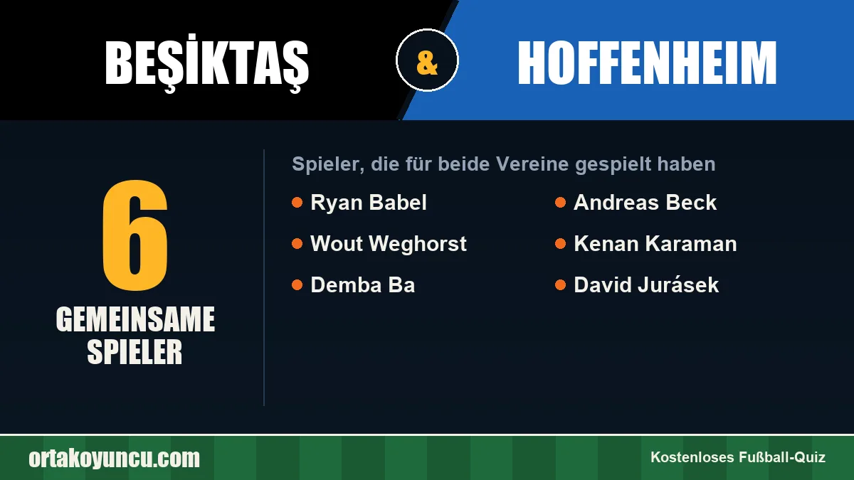 Spieler, die für Beşiktaş und Hoffenheim gespielt haben: 6 Spieler