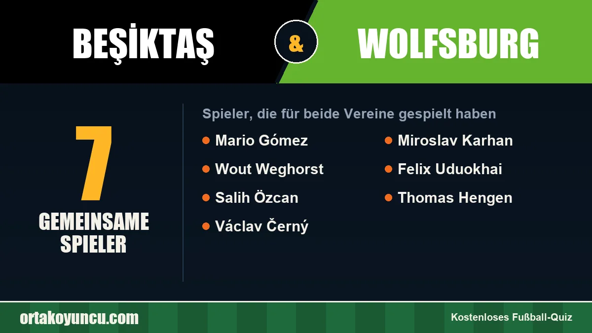 Spieler, die für Beşiktaş und Wolfsburg gespielt haben: 7 Spieler