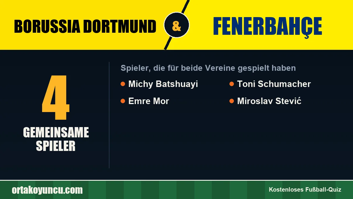 Spieler, die für Borussia Dortmund und Fenerbahçe gespielt haben: 4 Spieler