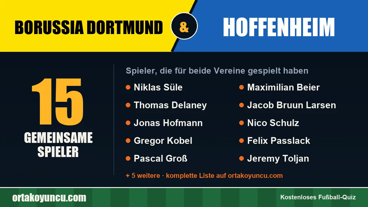Spieler, die für Borussia Dortmund und Hoffenheim gespielt haben: 15 Spieler