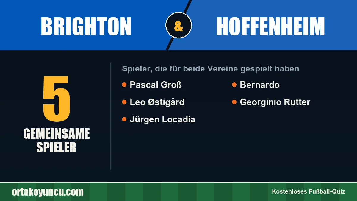 Spieler, die für Brighton und Hoffenheim gespielt haben: 5 Spieler