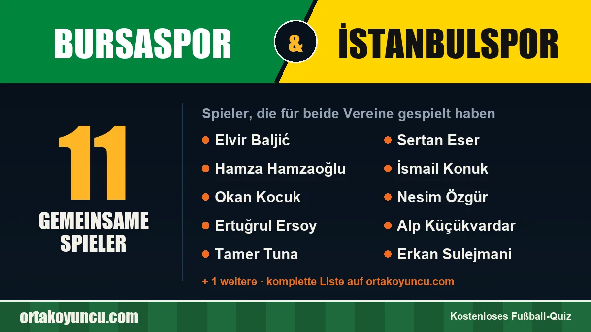 Spieler, die für Bursaspor und İstanbulspor gespielt haben: 11 Spieler