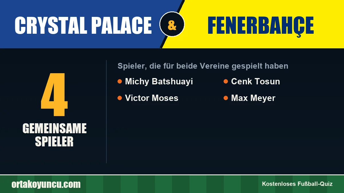 Spieler, die für Crystal Palace und Fenerbahçe gespielt haben: 4 Spieler