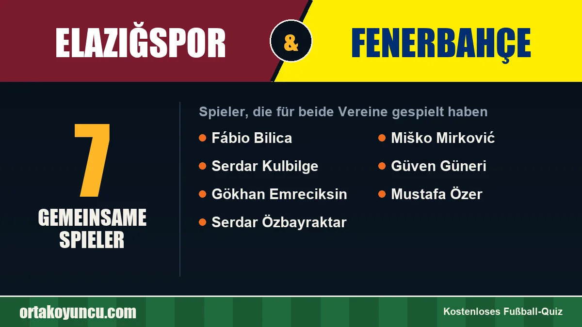 Spieler, die für Elazığspor und Fenerbahçe gespielt haben: 7 Spieler