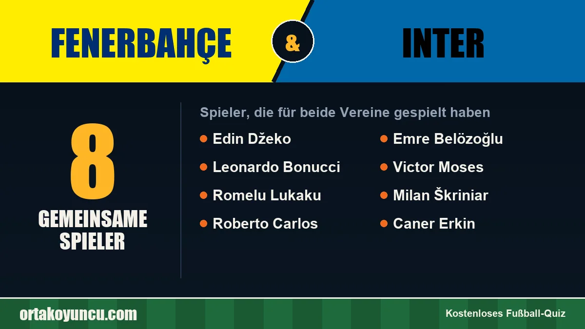 Spieler, die für Fenerbahçe und Inter gespielt haben: 8 Spieler