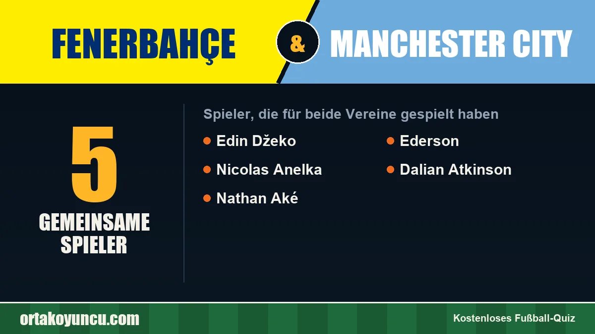 Spieler, die für Fenerbahçe und Manchester City gespielt haben: 5 Spieler