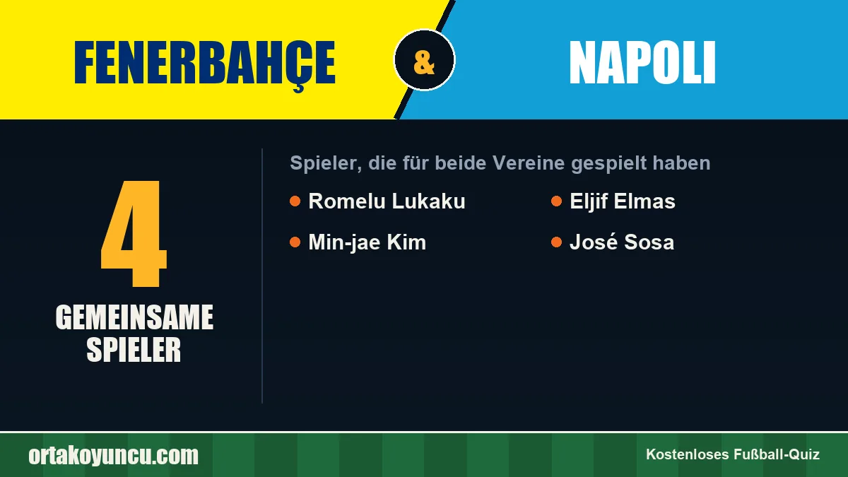 Spieler, die für Fenerbahçe und Napoli gespielt haben: 4 Spieler