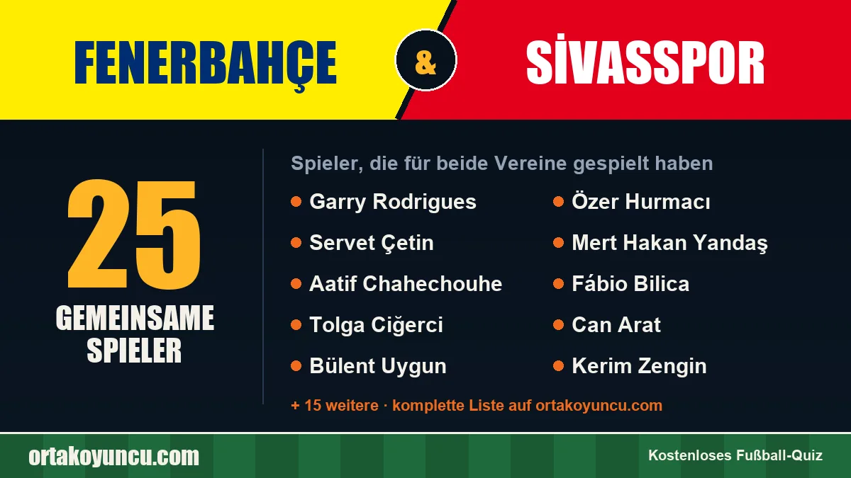 Spieler, die für Fenerbahçe und Sivasspor gespielt haben: 25 Spieler