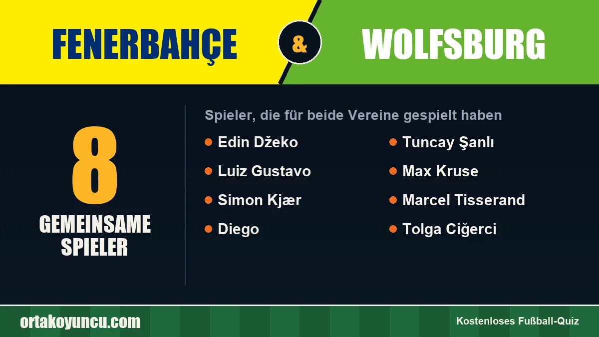 Spieler, die für Fenerbahçe und Wolfsburg gespielt haben: 8 Spieler