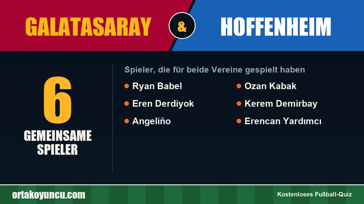 Spieler, die für Galatasaray und Hoffenheim gespielt haben: 6 Spieler