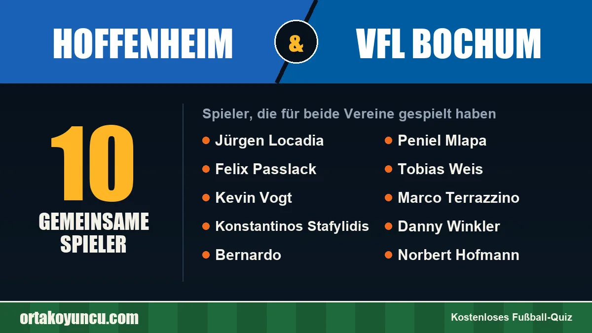 Spieler, die für Hoffenheim und VfL Bochum gespielt haben: 10 Spieler