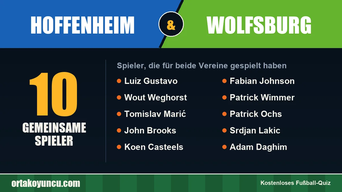Spieler, die für Hoffenheim und Wolfsburg gespielt haben: 10 Spieler