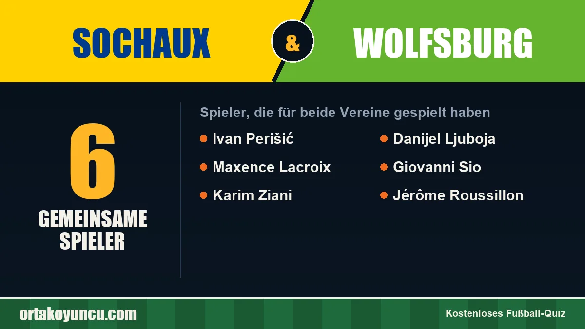 Spieler, die für Sochaux und Wolfsburg gespielt haben: 6 Spieler