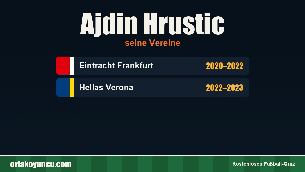 Ajdin Hrustic: Vereine und Jahre