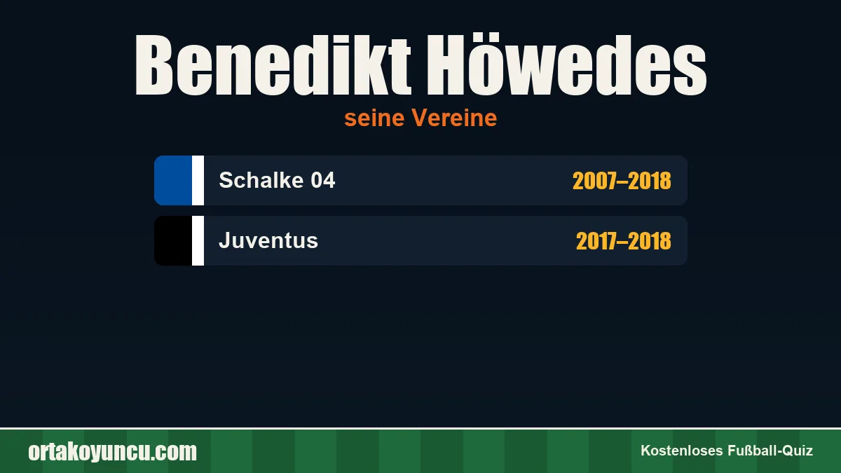 Benedikt Höwedes: Vereine und Jahre