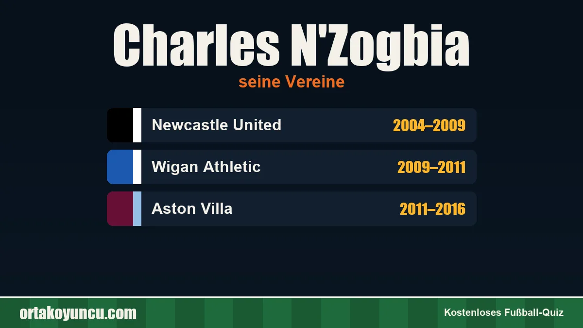 Charles N'Zogbia: Vereine und Jahre