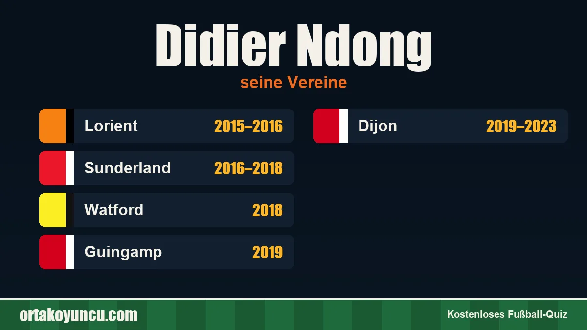 Didier Ndong: Vereine und Jahre