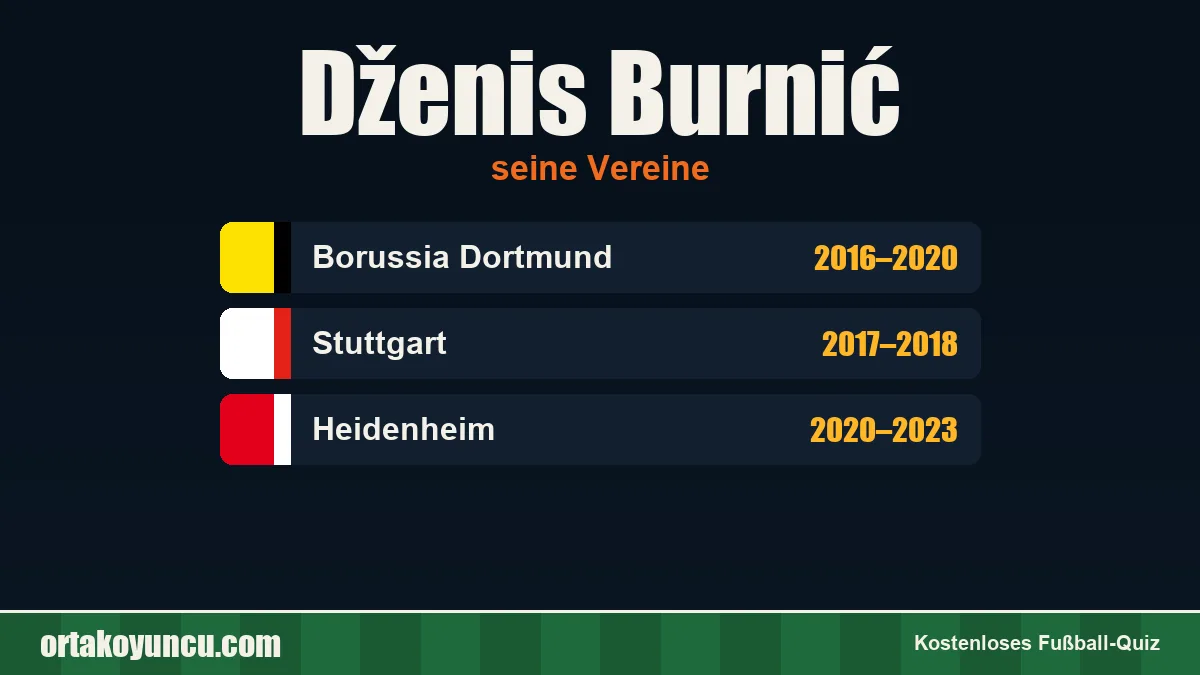 Dženis Burnić: Vereine und Jahre