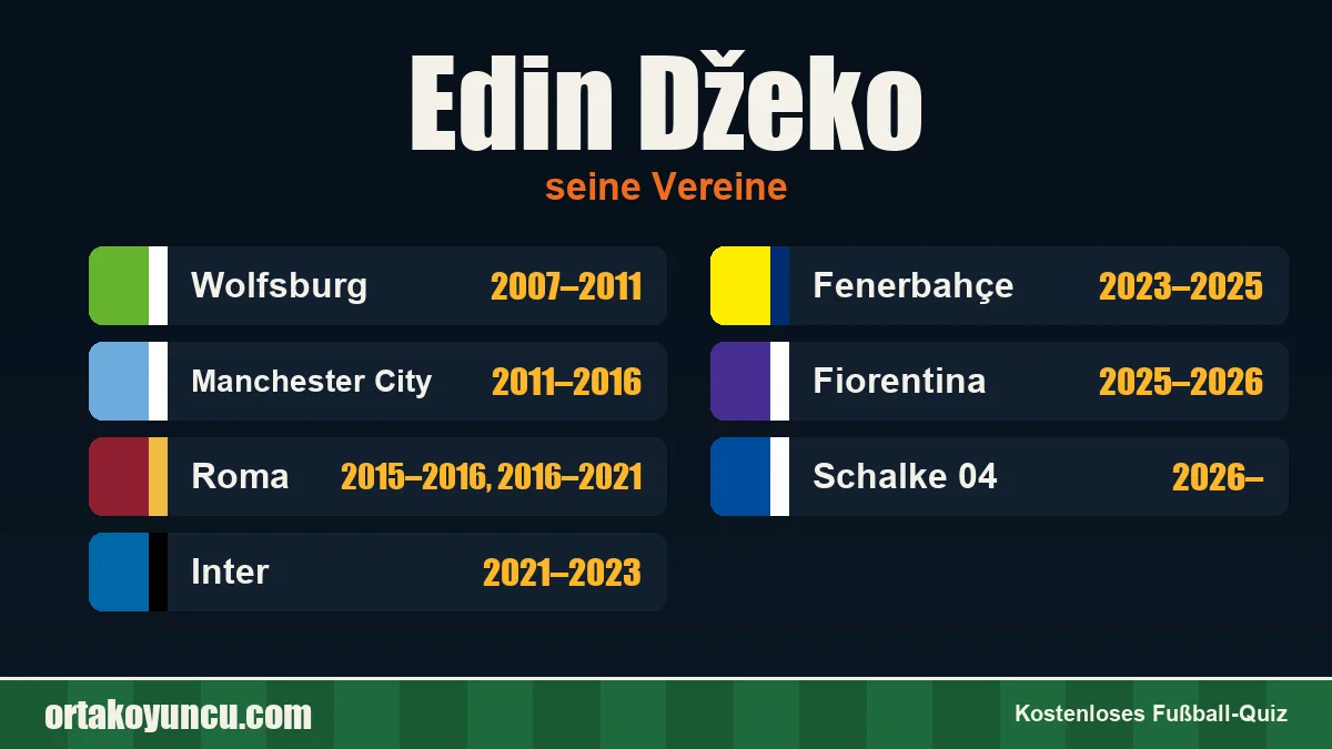 Edin Džeko: Vereine und Jahre