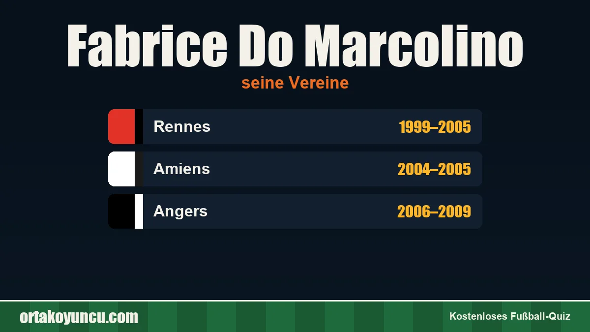 Fabrice Do Marcolino: Vereine und Jahre