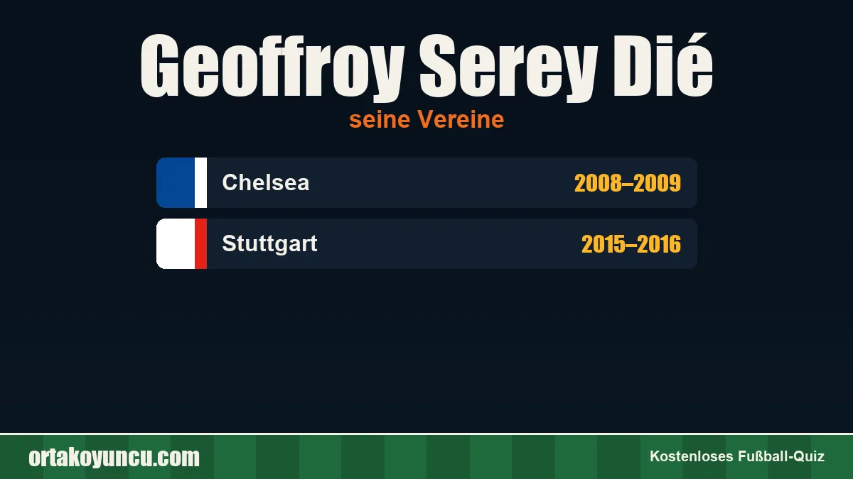 Geoffroy Serey Dié: Vereine und Jahre