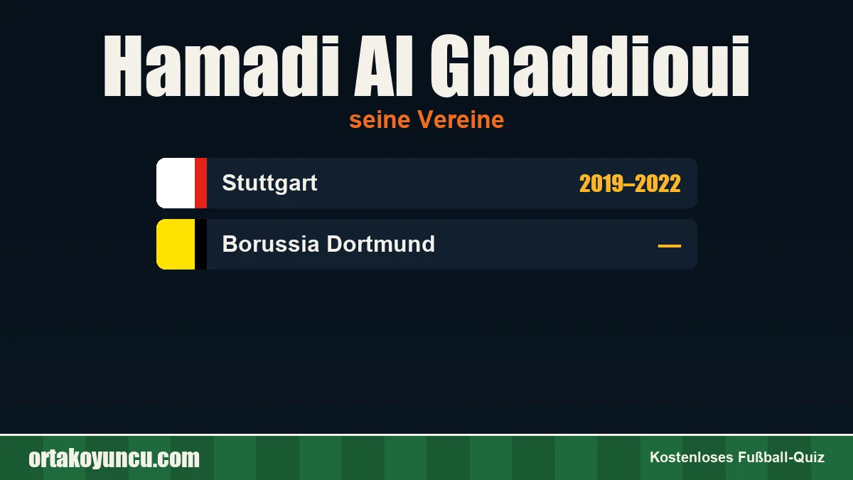 Hamadi Al Ghaddioui: Vereine und Jahre