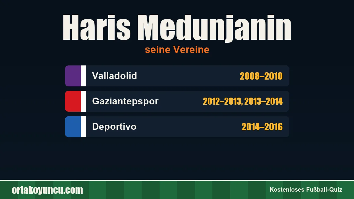 Haris Medunjanin: Vereine und Jahre