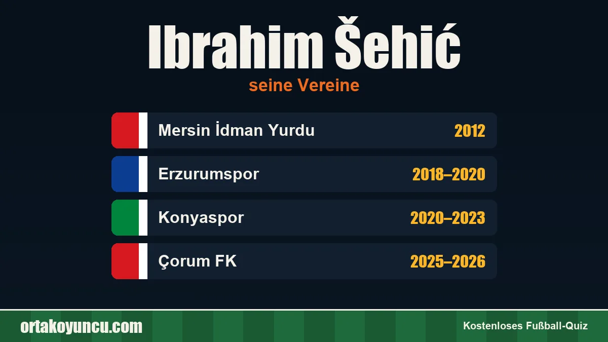 Ibrahim Šehić: Vereine und Jahre