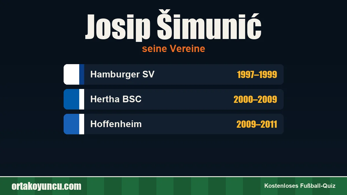 Josip Šimunić: Vereine und Jahre