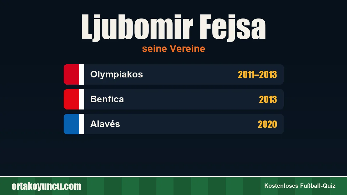 Ljubomir Fejsa: Vereine und Jahre