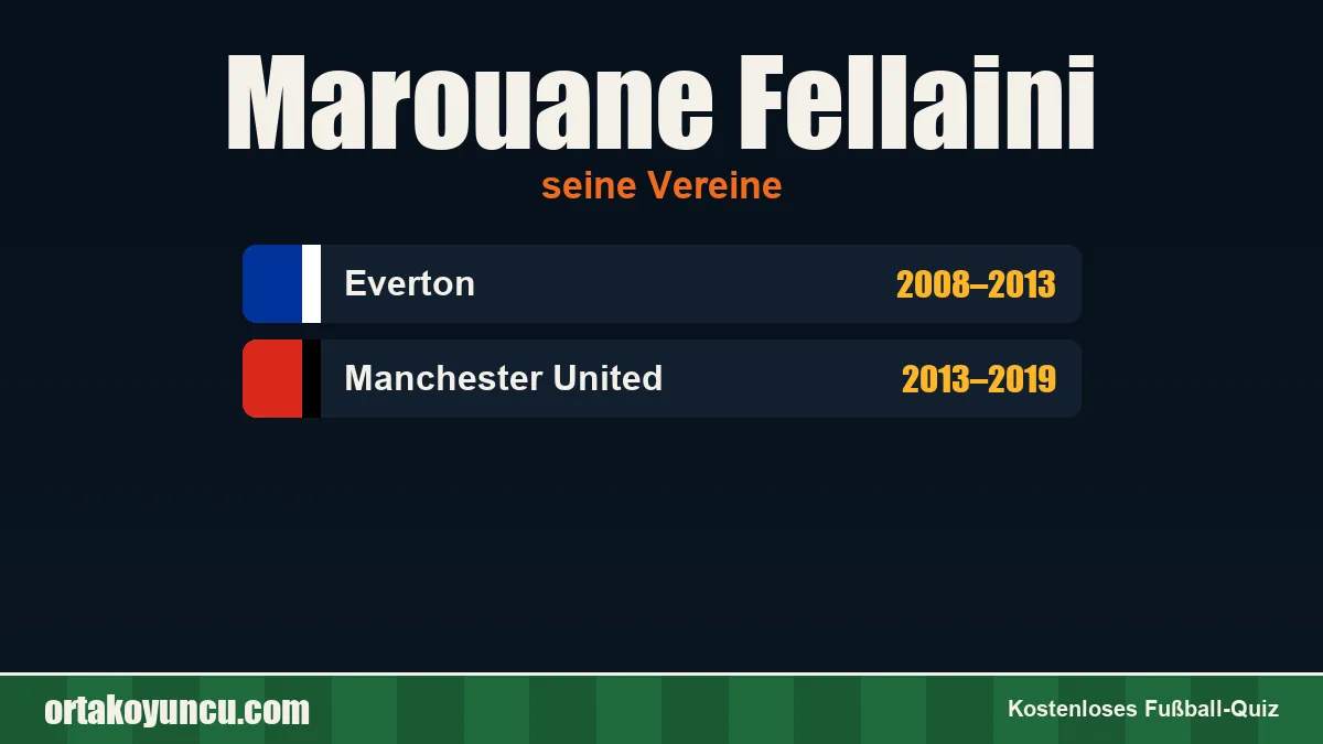 Marouane Fellaini: Vereine und Jahre