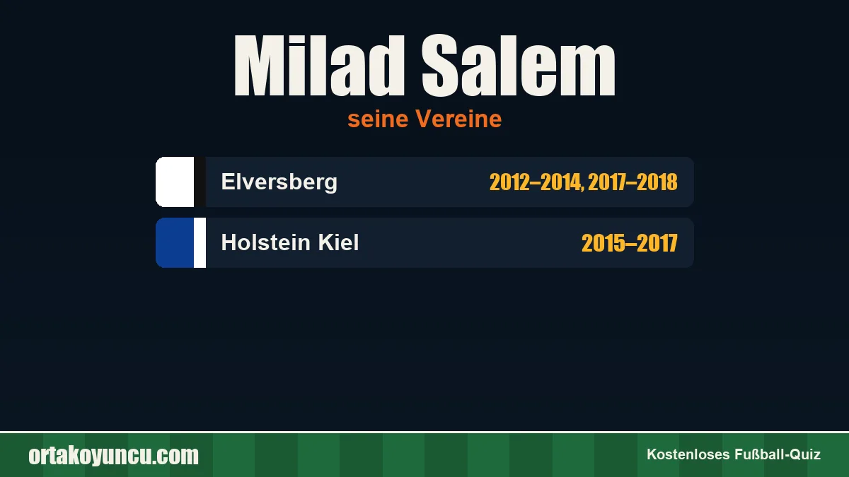 Milad Salem: Vereine und Jahre