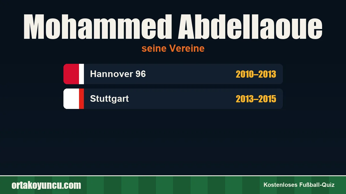 Mohammed Abdellaoue: Vereine und Jahre