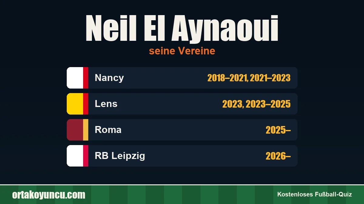 Neil El Aynaoui: Vereine und Jahre