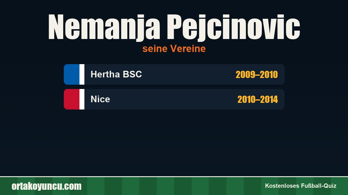 Nemanja Pejcinovic: Vereine und Jahre