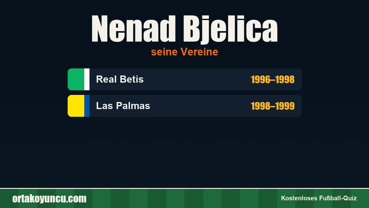 Nenad Bjelica: Vereine und Jahre