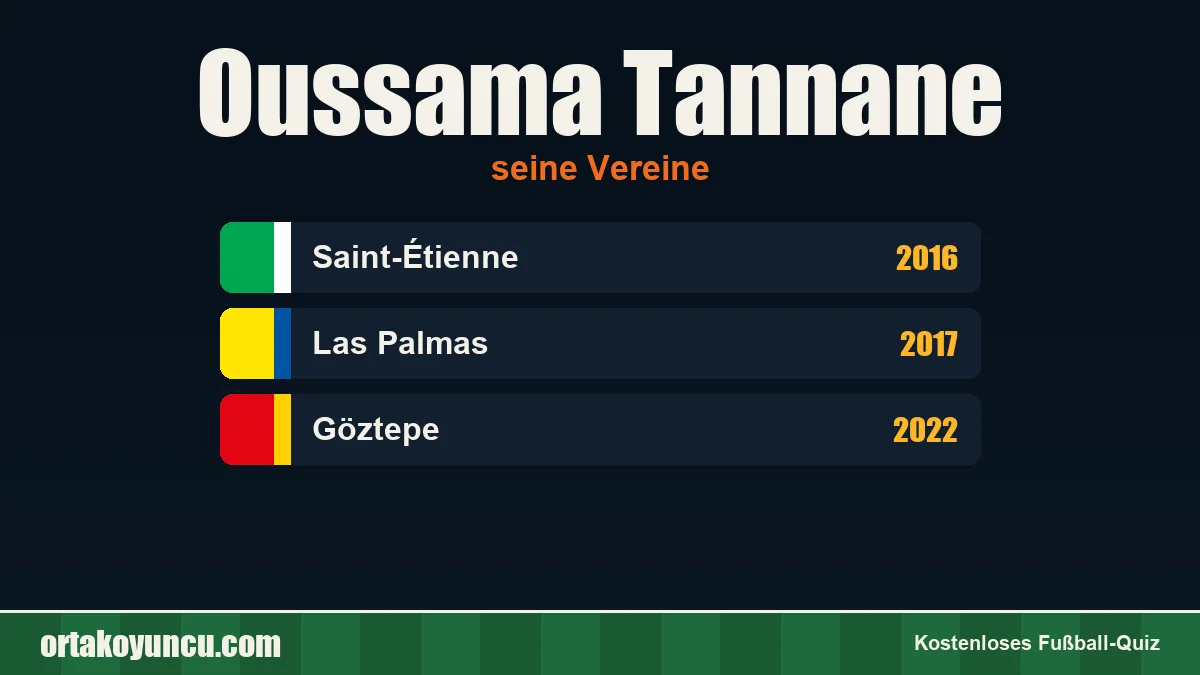 Oussama Tannane: Vereine und Jahre
