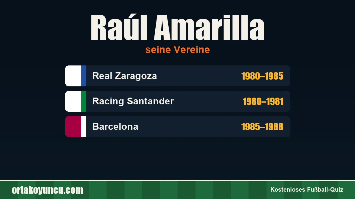 Raúl Amarilla: Vereine und Jahre