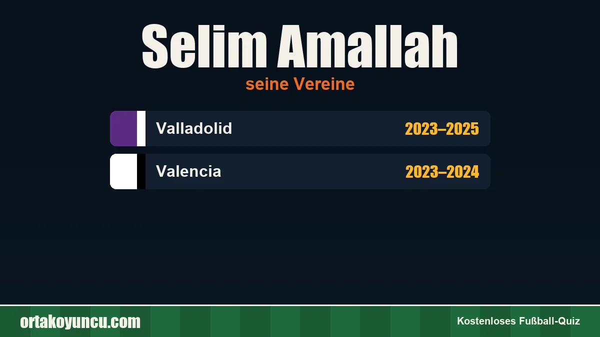 Selim Amallah: Vereine und Jahre