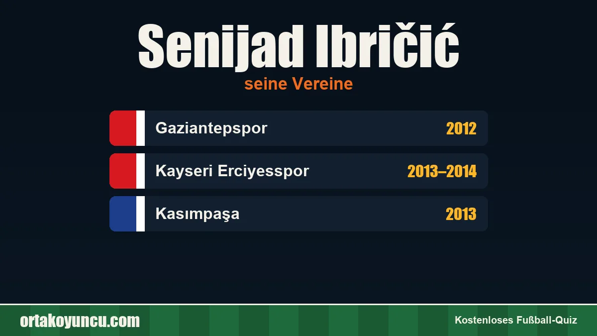Senijad Ibričić: Vereine und Jahre