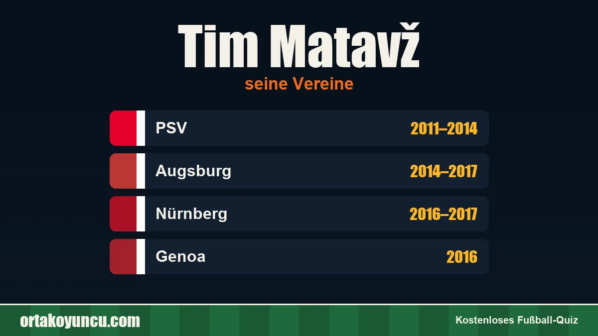 Tim Matavž: Vereine und Jahre
