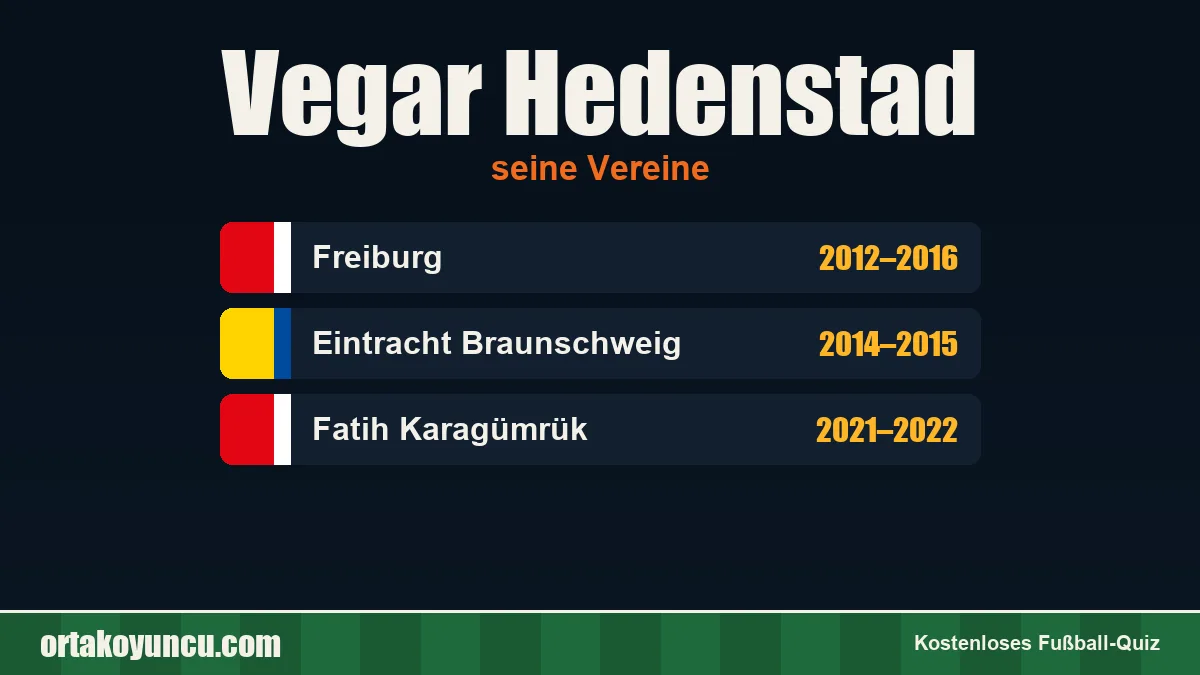 Vegar Hedenstad: Vereine und Jahre