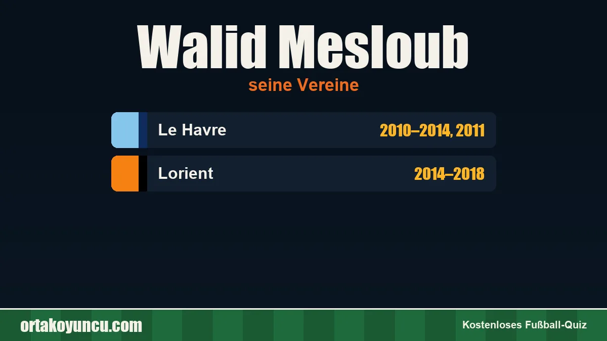 Walid Mesloub: Vereine und Jahre