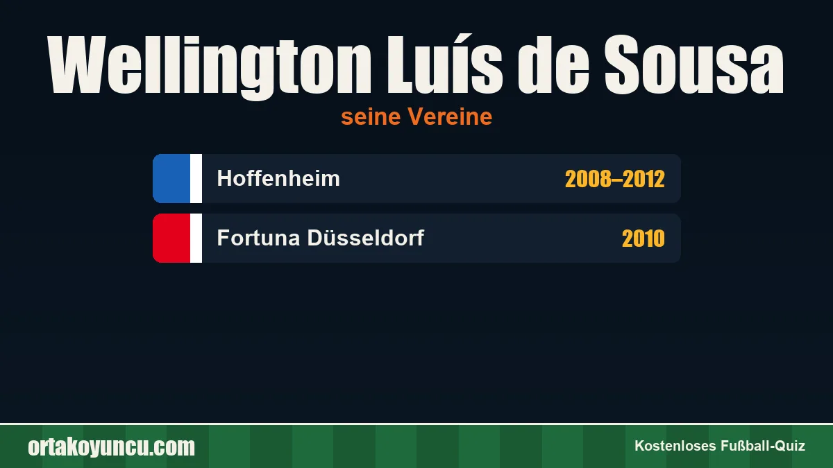 Wellington Luís de Sousa: Vereine und Jahre