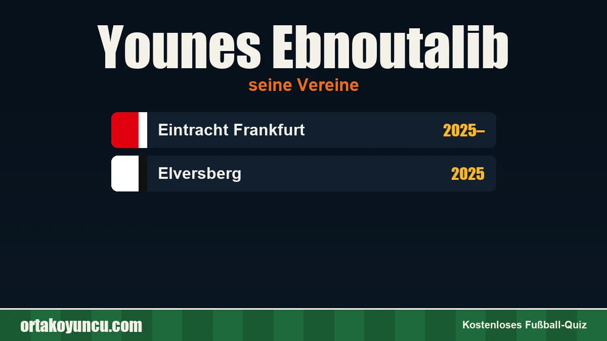 Younes Ebnoutalib: Vereine und Jahre