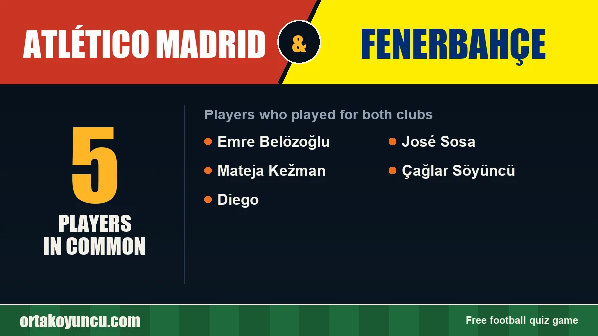 Players who played for both Atlético Madrid and Fenerbahçe: 5 players