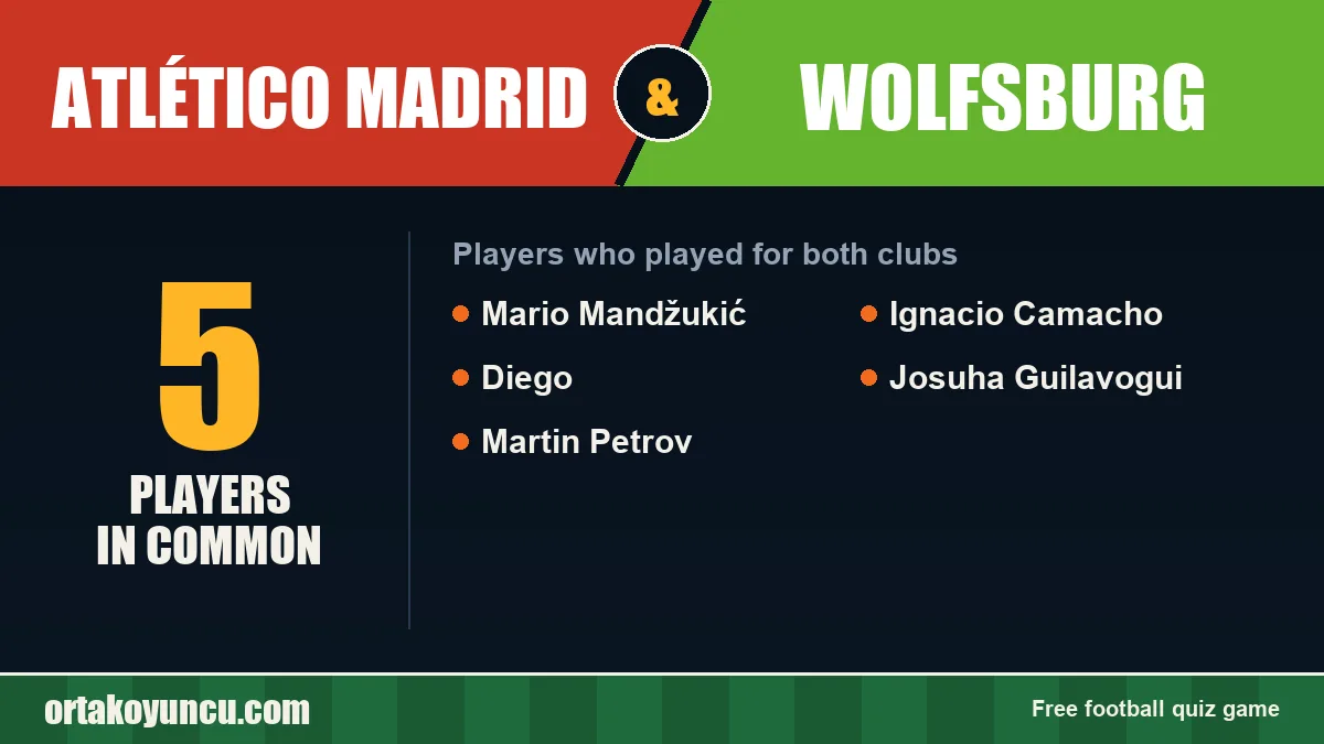 Players who played for both Atlético Madrid and Wolfsburg: 5 players