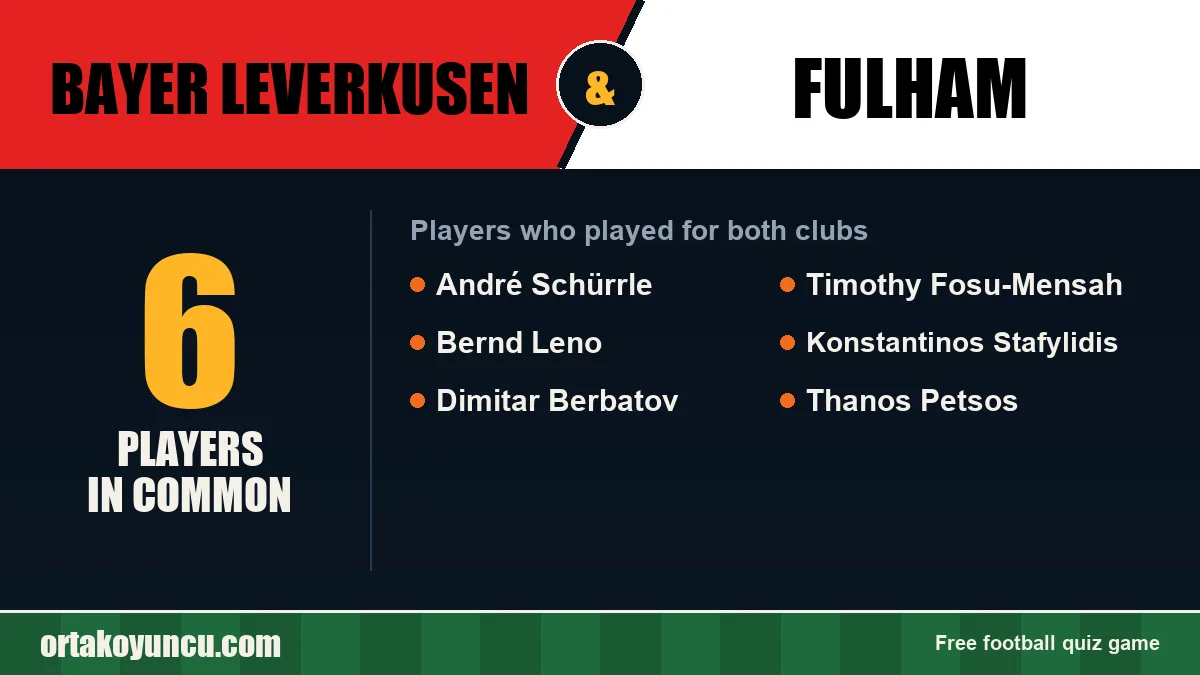 Players who played for both Bayer Leverkusen and Fulham: 6 players